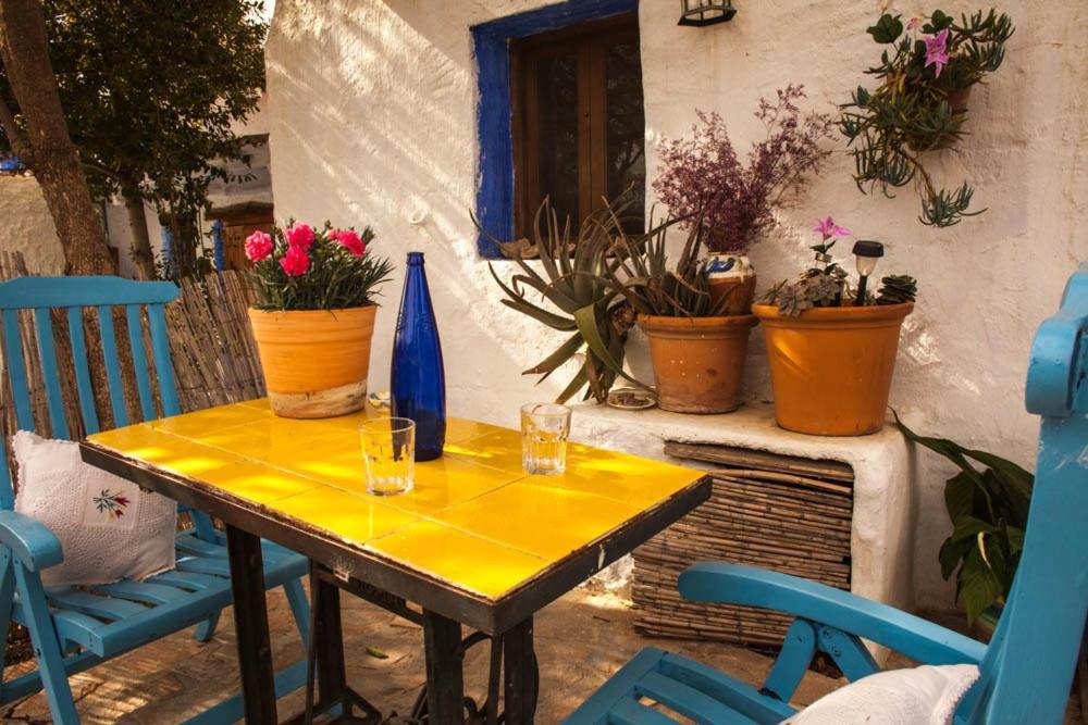 Casa Rural Aloe Vera Уэркаль-Овера Номер фото