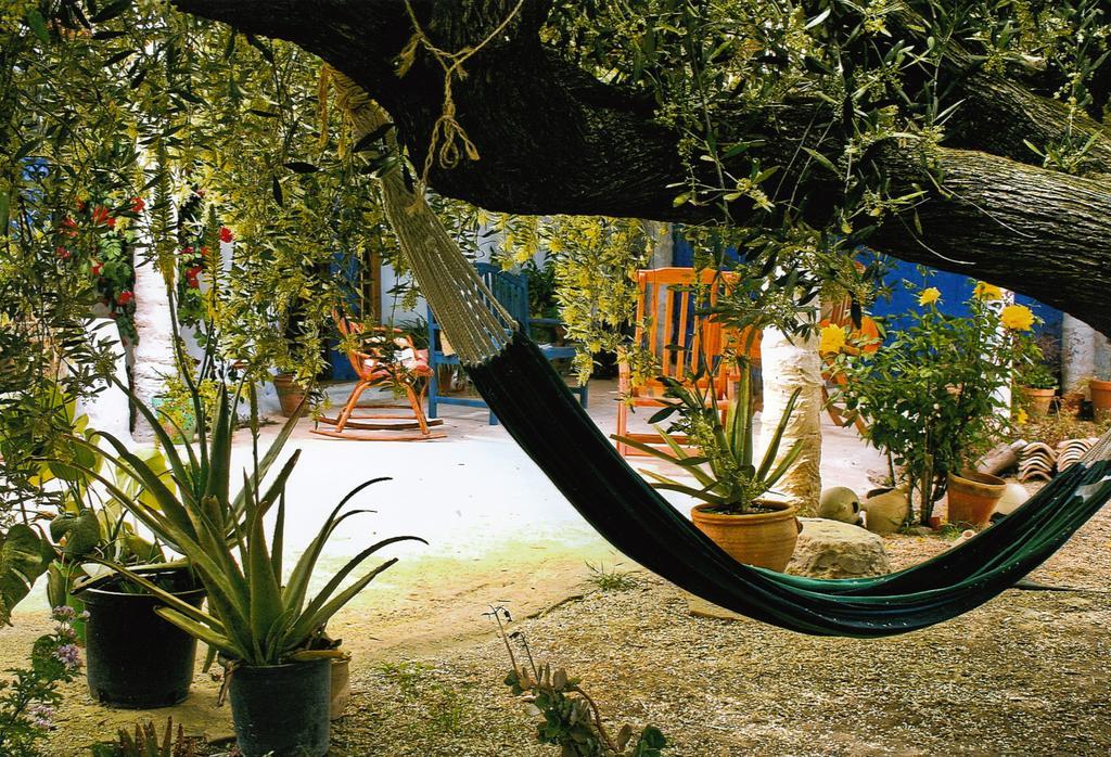 Casa Rural Aloe Vera Уэркаль-Овера Экстерьер фото