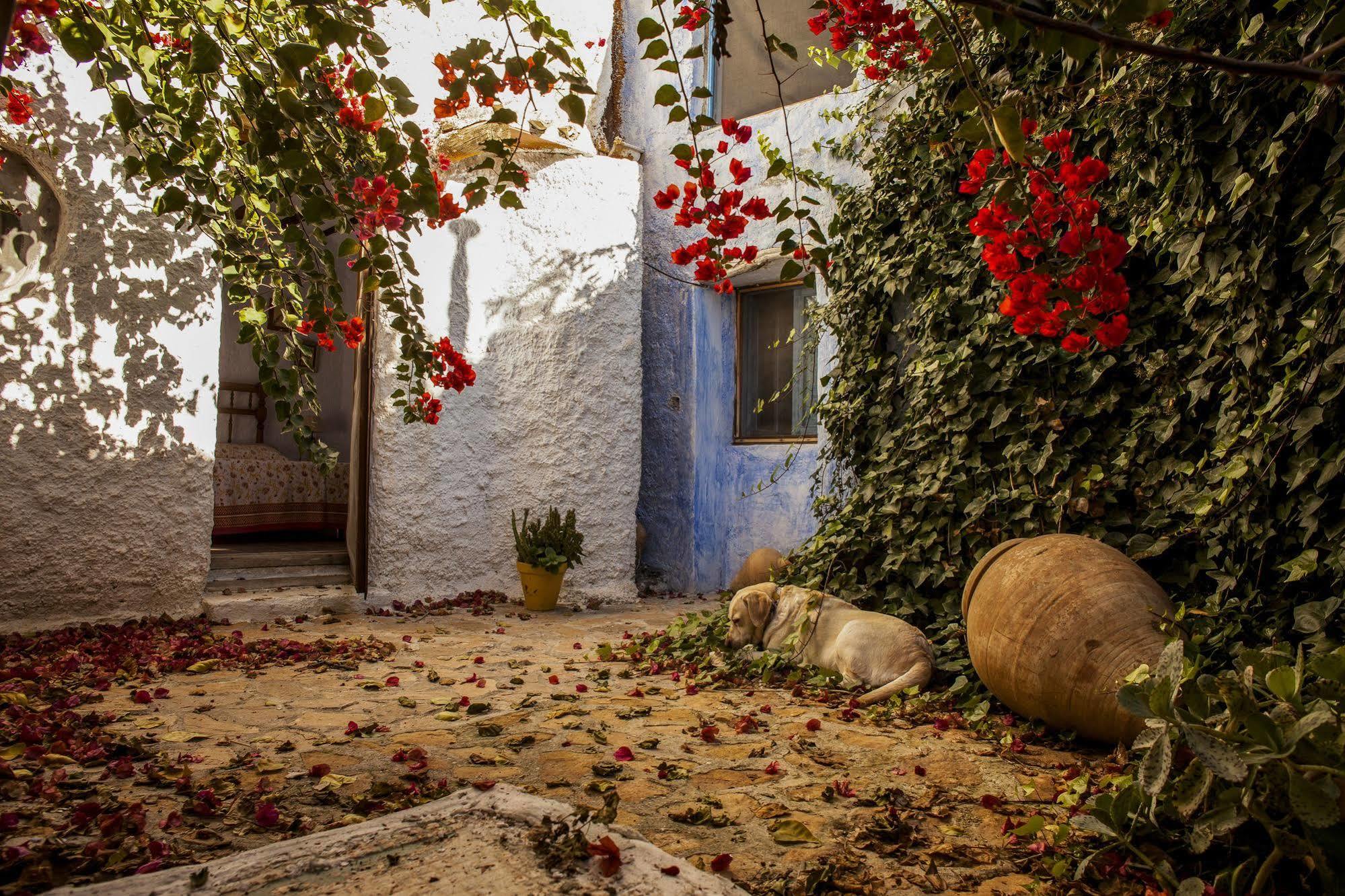 Casa Rural Aloe Vera Уэркаль-Овера Экстерьер фото